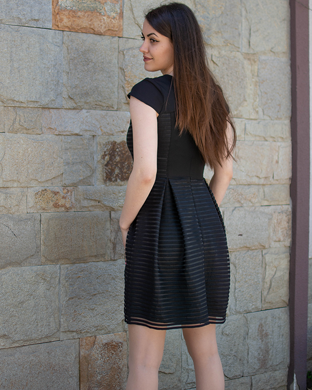 ЕЛЕГАНТНА ДАМСКА РОКЛЯ ЕЛЕГАНТНА ДАМСКА РОКЛЯ